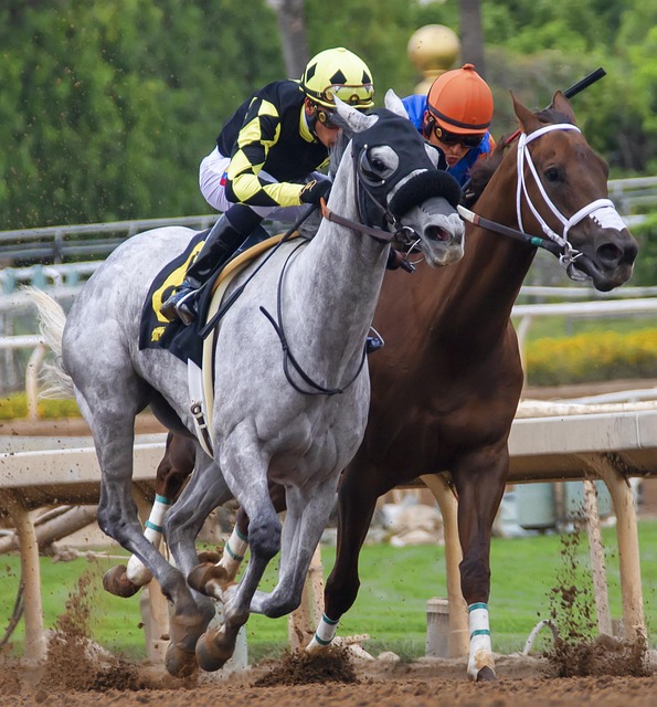 医疗支持 医疗支持