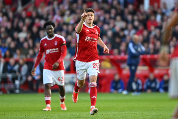 特勒成熟的 特勒成熟的