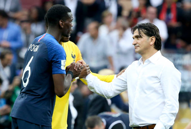 的强力战将 的强力战将